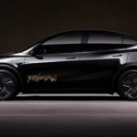 Tesla robotaxi